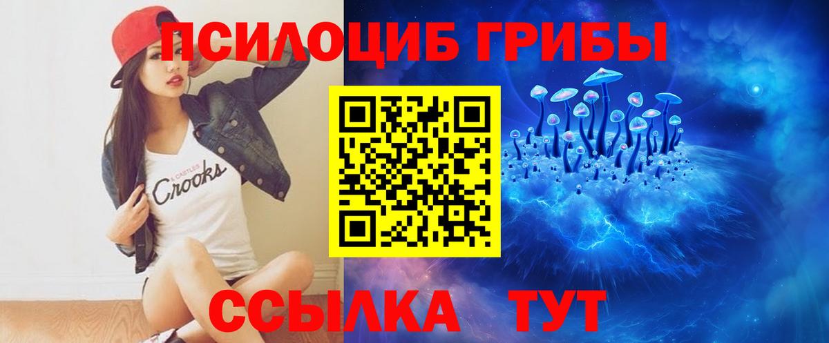 Ейск  Псилоцибиновые грибы мицелий  Вход с VPN 
